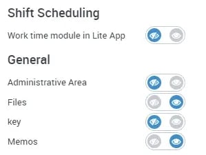Options_for_assigning_rights_to_users_EN_06