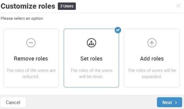 Options_for_assigning_rights_to_users_EN_12