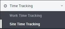 Export_of_site_time_tracking_EN_01