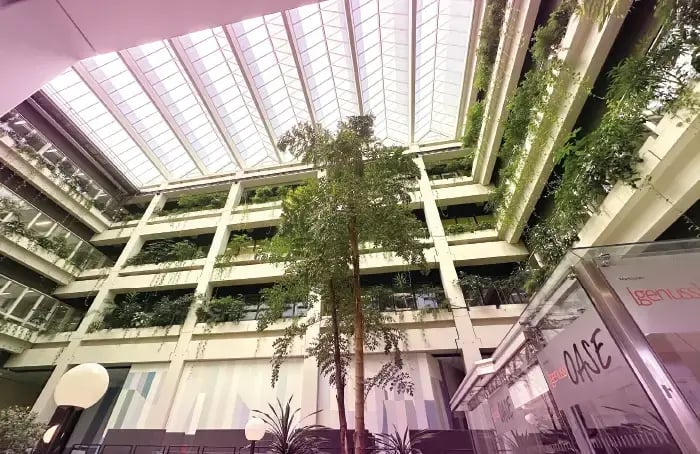 Light and plants in the UMG hospital in Göttingen.