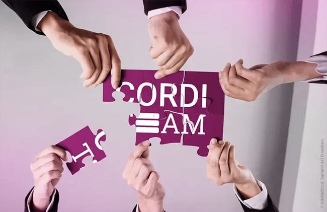 CORDI Team Puzzle