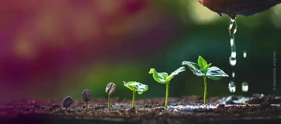 Groth_coffee_plant_AdobeStock_199081903_artrachen