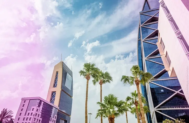 Saudi Arabia Riyadh modern building palm trees business arrival trip security industry guard control system